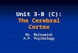 Unit 3-B (C): The Cerebral Cortex Mr. McCormick A.P. Psychology