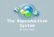 The Reproductive System By Kelly Dyess. Purpose of this System Female System Produces egg cells, called ova or oocytes. Transports ova to the site of