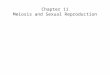 Chapter 11 Meiosis and Sexual Reproduction. Section 1: Reproduction Preview Asexual Reproduction Sexual Reproduction Chromosome Numbers Summary