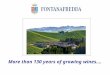 More than 130 years of growing wines….. Alpi mountain Appennini mountain Langhe Old sea Italy 50 M years ago (EOCENE) Italy 10 M years ago (MIOCENE) LANGHE