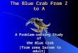 The Blue Crab From Z to A A Problem-solving Study of the Blue Crab (from zoea larvae to adult)