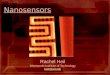 1 Nanosensors Rachel Heil Wentworth Institute of Technology heilr@wit.edu