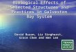 Biological Effects of Selected Structures and Practices in Galveston Bay System David Buzan, Liz Singhurst, Grace Chen and Wen Lee