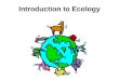 Introduction to Ecology. Ecology is the scientific study of interactions among organisms and between organisms and their environment