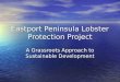 Eastport Peninsula Lobster Protection Project A Grassroots Approach to Sustainable Development
