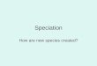 Speciation How are new species created?. What is a species? According to the biological species concept, a species is a group whose members can breed