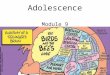 1 Adolescence Module 9. 2 Adolescence Adolescence Overview  Physical Development  Cognitive Development  Social Development Emerging Adulthood Today