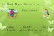 Is That Noun Masculine or Feminine? Many Words Follow Predictable Patterns…
