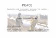 PEACE Population and Environment Analysis for Counter-insurgency Evaluation prepared by Jason Southerland Kevin Neary Brian Kolstad Steven Darcy for Colonel