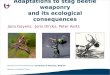 Adaptations to stag beetle weaponry and its ecological consequences Jana Goyens, Joris Dirckx, Peter Aerts Laboratory for Functional Morphology University