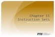 Addressing Modes and Formats Chapter 11 Instruction Sets