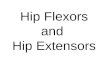 Hip Flexors and Hip Extensors. Hip Flexors Muscles that flex the femur at the acetabulofemoral joint â€“Psoas Major â€“Iliacus â€“Rectus Femoris â€“Sartorius