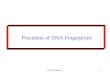 DNA-Fingerprint1 Procedure of DNA-Fingerprints. DNA-Fingerprint2 Tubes for each workgroup