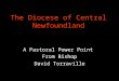 The Diocese of Central Newfoundland A Pastoral Power Point From Bishop David Torraville