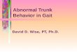 Abnormal Trunk Behavior in Gait David D. Wise, PT, Ph.D