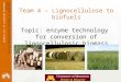 NORWEGIAN UNIVERSITY OF LIFE SCIENCES  Department of Chemistry, Biotechnology and Food Science Team 4 – Lignocellulose to biofuels Topic: enzyme