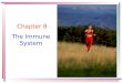 Chapter 8 The Immune System. Key Concepts acquired immune deficiency syndrome (AIDS)acquired immune deficiency syndrome (AIDS) antibodies antibody dependent