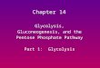 Glycolysis, Gluconeogenesis, and the Pentose Phosphate Pathway Part 1: Glycolysis Chapter 14