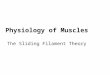 Physiology of Muscles The Sliding Filament Theory