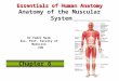 Essentials of Human Anatomy Essentials of Human Anatomy Anatomy of the Muscular System Chapter 6 Dr Fadel Naim Ass. Prof. Faculty of Medicine IUG