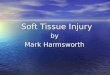Soft Tissue Injury Soft Tissue Injury by Mark Harmsworth