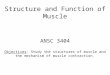 Structure and Function of Muscle ANSC 3404 Objectives: Study the structures of muscle and the mechanism of muscle contraction