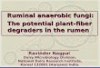 Ruminal anaerobic fungi: The potential plant-fiber degraders in the rumen __________________________ Ravinder Nagpal Dairy Microbiology Division, National