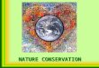 NATURE CONSERVATION. 7 Wonders of Nature Amazon Rainforest, South America