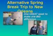 Alternative Spring Break Trip to New Orleans One GREAT week to make one BIG difference