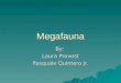 Megafauna By: Laura Provost Pasquale Quintero Jr