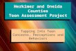 Herkimer and Oneida Counties Teen Assessment Project Tapping Into Teen Concerns, Perceptions and Behaviors Since 1997