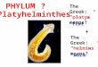 PHYLUM The Greek: “platys” means? “flat” + The Greek: “helmins” means? “worm” Platyhelminthes ?