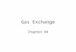 Gas Exchange Chapter 44. Learning Objectives Define Physiological Respiration, Ventilation and Perfusion Diagram the human respiratory tract and explain