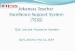 Arkansas Teacher Excellence Support System (TESS) TESS Law and Process for Teachers April, 2013 to May 31, 2014