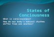 What is consciousness? How do our body’s natural rhythms differ from one another?