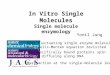 In Vitro Single Molecules Single molecule enzymology Yonil Jung Ever fluctuating single enzyme molecules: Michaselis-Menten equation revisited Nonspecifically