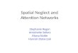 Spatial Neglect and Attention Networks Stephanie Regan Antoinette Sellers Alyssa Nolde Hannah Stolarczyk