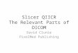 Slicer QIICR The Relevant Parts of DICOM David Clunie PixelMed Publishing