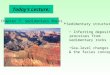 Today’s Lecture:  Sedimentary structures: Inferring depositional processes from sedimentary rocks Sea-level changes & the facies concept Chapter 7: Sedimentary