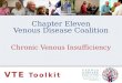 Chapter Eleven Venous Disease Coalition Chronic Venous Insufficiency VTE Toolkit
