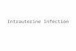 Intrauterine Infection. Intrauterine infection Abortion/stillbirth Congenital Malformation IUGR Prematurity Acute neonatal disease/delayed neonatal disease
