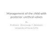 Management of the child with posterior urethral valves By Professor Olanrewaju T. Adedoyin University of Ilorin/UITH