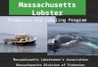 All photos: E. Burke Massachusetts Lobstermen’s Association Massachusetts Division of Fisheries Massachusetts Lobster Promotion and Labeling Program