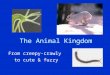 The Animal Kingdom From creepy-crawly to cute & fuzzy