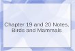 Chapter 19 and 20 Notes, Birds and Mammals. Characteristics of Class Aves Forelimbs designed for flight in most birds. Epidermis is covered in feathers,