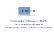 Transposition of Consumer Rights ERGEG Monitoring Report Christina Veigl-Guthann, ERGEG Task Force Chair