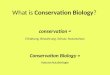 Conservation = Erhaltung, Bewahrung, Schutz, Naturschutz Conservation Biology = Naturschutzbiologie What is Conservation Biology?