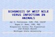 DIAGNOSIS OF WEST NILE VIRUS INFECTION IN ANIMALS Jon S. Patterson, DVM, PhD, DACVP Roger K. Maes, DVM, PhD Diagnostic Center for Population and Animal