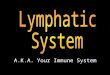 A.K.A. Your Immune System. Function of Lymphatic System The lymphatic system helps the body defend itself against disease and maintain homeostasis