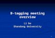 1 B-tagging meeting overview Li bo Shandong University